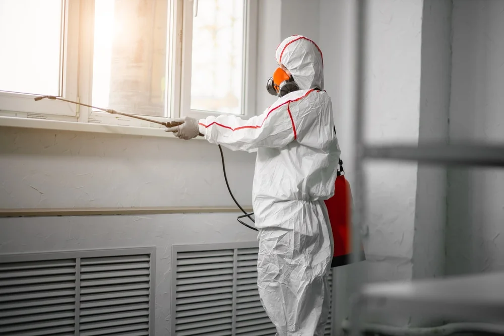 Professional mold remediation services in Keenesburg, CO